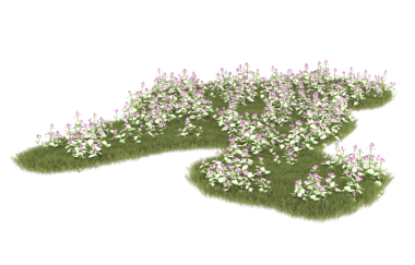 Beyaz arkaplanda izole edilmiş ağaç