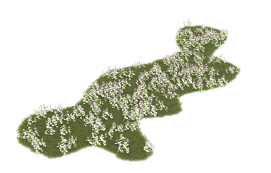 Haşhaş tohumlu güney adasının haritası