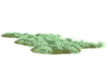 Siyah arka planda süslemesi olan Noel ağacı, izole et. 3D yüksek çözünürlüklü mükemmel bir tasvir