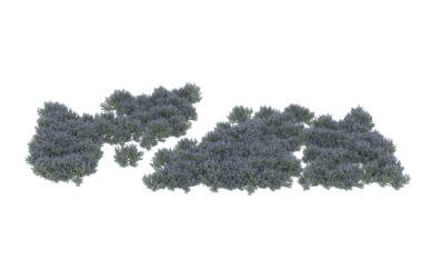 gri arka plan üzerinde yeşil çim