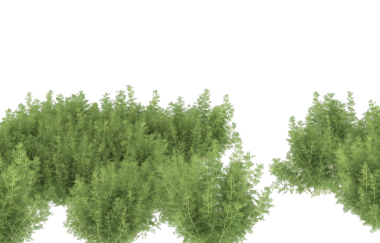 Beyaz arka planda izole edilmiş yeşil çimenler. 3d illüstrasyon.