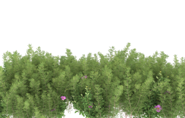 Bahar çiçeklerinin güzel arka planı