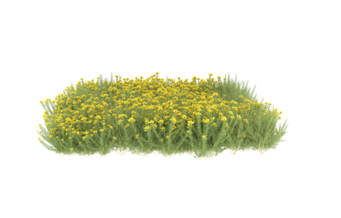 Kesme yolları olan izole yeşil bir yaprak. vektör illüstrasyonu