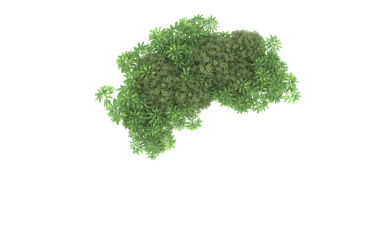 yeşil ağaç, 3 boyutlu illüstrasyon, 3 boyutlu çizim