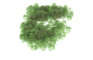 Beyaz arkaplanda yapraklardan yapılmış yeşil ağaç