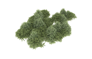 izole edilmiş yeşil çimen kırpma yolu ve kırpma yolu ile siyah arkaplan izole.