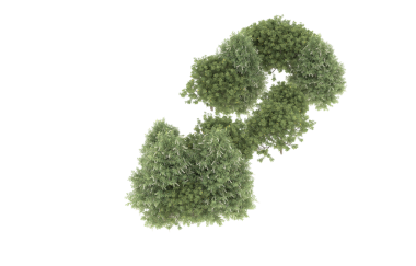 Güney Kore haritası. Yeşil yapraklar. yüksek çözünürlüklü 3d görüntüleyici.