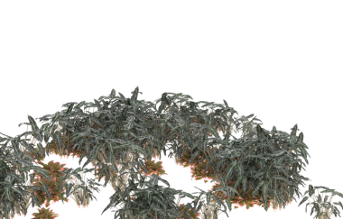 Beyaz bir arka planda noel ağacı. bu...