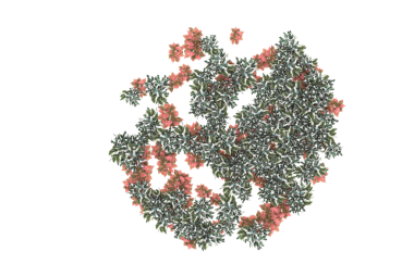 fantezi kaotik renkli fraktal desen. Soyut fraktal şekiller. 3d resimleme arkaplanı veya duvar kağıdı oluşturuluyor