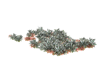 Beyaz arkaplanda izole edilmiş fraktal fraktalın 3 boyutlu görüntülenmesi