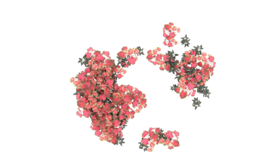 Beyaz arkaplanda kırmızı yapraklar