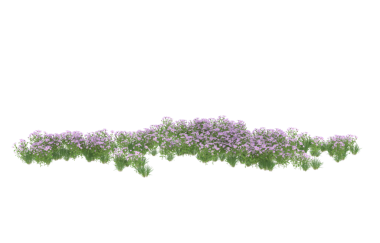 Beyaz arka planda izole edilmiş yeşil bir çalılığın 3 boyutlu görüntüsü