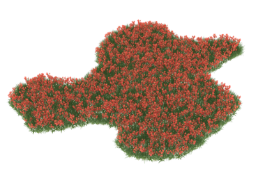 Beyaz arka plan üzerinde izole kırmızı ağaç