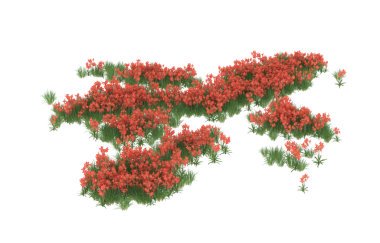 Kırmızı meyveli ağaç soyutlanmış