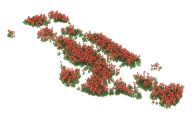 beyaz izole Noel ağacı süsle