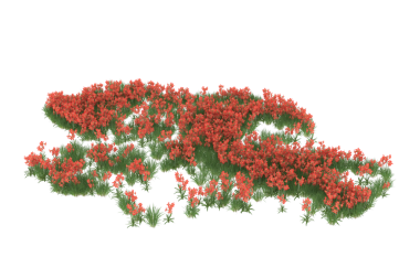 Noel ağacı. Beyaz arka plan üzerinde izole