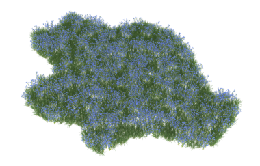 yeşil çiçek siyah arkaplanda izole