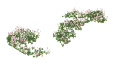 Beyaz arkaplanda izole edilmiş çimenden yapılmış ağaç