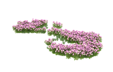 Siyah arka planda izole edilmiş mor bir çiçeğin 3 boyutlu görüntüsü