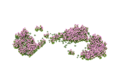 soyut çiçekler, çiçek vektör sanat arka planı