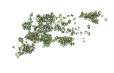 Güney Kore Haritası