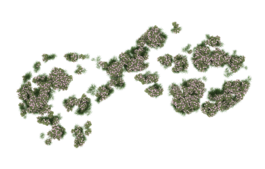 Siyah arka planda yeşil yapraklar. vektör illüstrasyonu