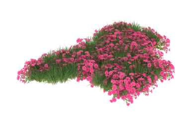 Siyah arkaplanda 3 boyutlu pembe bir çiçek tasviri