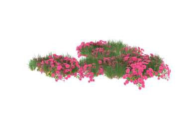 Siyah arka planda izole edilmiş pembe bir çiçeğin 3 boyutlu resmi