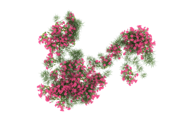 Bir çiçek dalı. vektör.