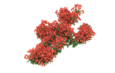 Kırmızı Noel ağacı. Noel ağacı.