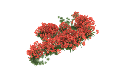 Vektör çizimi. Yapraklı çiçekler. Çiçek deseni