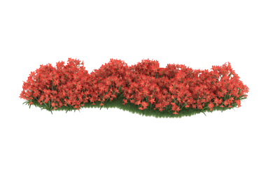 Beyaz arka planda izole edilmiş yeşil bir noel ağacının 3 boyutlu görüntüsü
