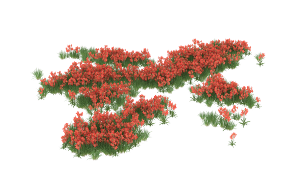 Kırmızı meyveli ağaç soyutlanmış