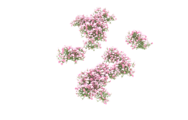 3D Coronavirus virüsü covid - koyu arkaplanda 19 izole edilmiş
