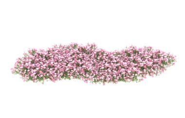 Siyah bir arkaplanda 3 boyutlu pembe bir çiçek çizimi