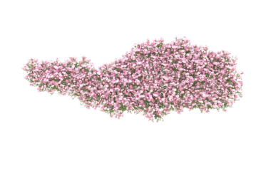 Pembe çiçekli soyut bir arka plan. 8 vektör resimlemesi