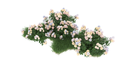 3D illüstrasyon, çiçekler ve bitkiler, bilgisayar baskısı, dijital sanat