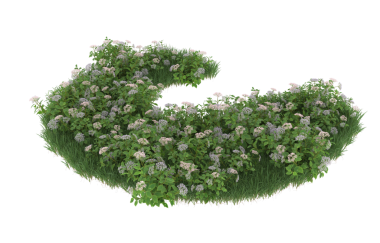 kırpma yolu ile izole yeşil çiçekler.