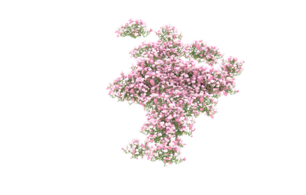 3D Coronavirus covid - Siyah zemin üzerinde 19