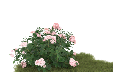 Siyah arkaplandaki pembe çiçekli çalılık, 3 boyutlu görüntüleme