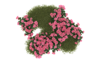 Siyah arkaplanda pembe bir çiçeğin 3 boyutlu görüntüsü