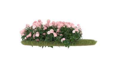 Beyaz arka planda izole edilmiş yeşil bir çalılığın 3 boyutlu görüntüsü