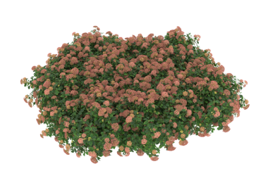 Renkli çiçeklerle soyut arkaplan