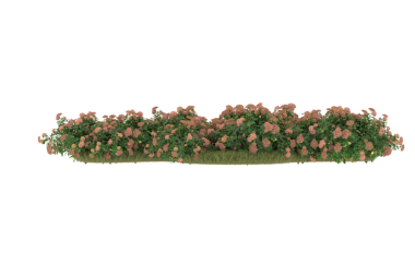 Beyaz arka planda izole edilmiş çalıların üç boyutlu çizimi