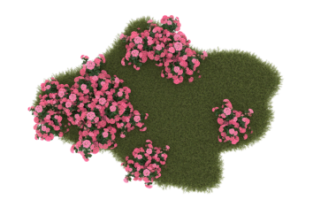 Siyah arkaplandaki bir çiçeğin 3 boyutlu resmi.