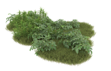 Bir ağacın 3 boyutlu görüntüsü