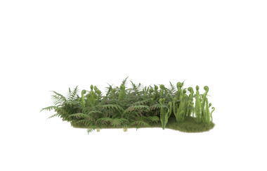 Beyaz arkaplanda yeşil çimenler