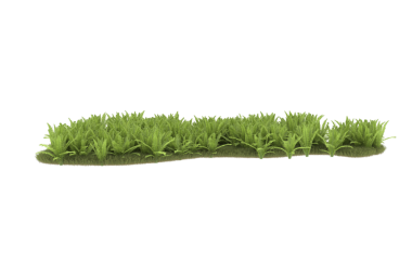 Çim ve çimen. Çimenler arka planda izole. 3d resimleme.