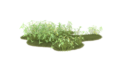 Beyaz arkaplanda izole edilmiş ağaç şeklinde yeşil çimen