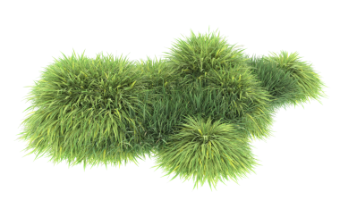 Siyah arkaplanda izole edilmiş çimlerin 3 boyutlu çizimi